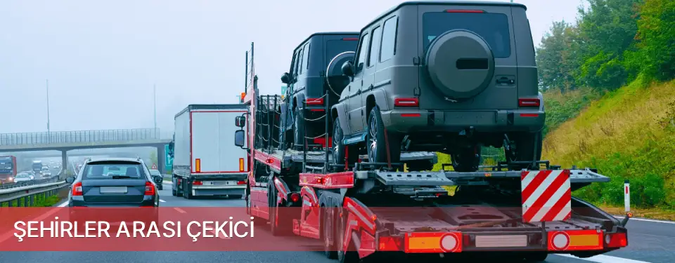 Yenipazar İlçemi Şehirler Arası Çekici